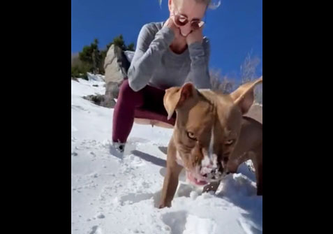 Blonde peeing in the snow <!-- width=